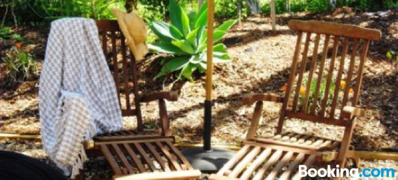 蓝鸟旅馆(Blue Birds)图片