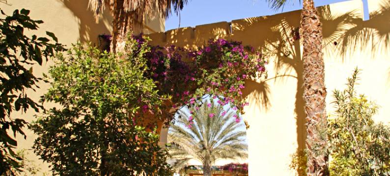 太阳棕榈酒店(Sun Palm)图片