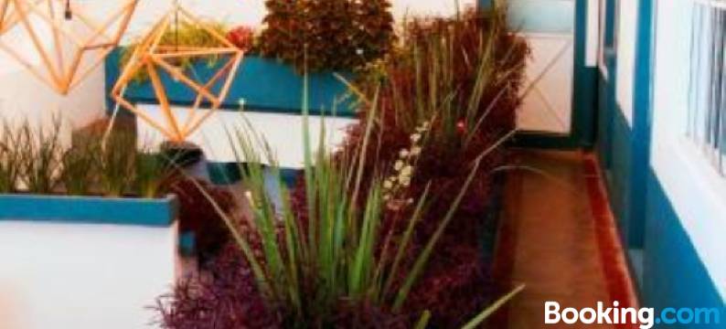 蓝色自行车之家旅舍(Blue Bicycle House)图片