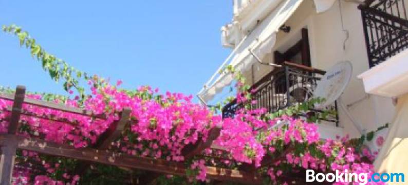 阿里斯酒店(Hotel Aris)图片