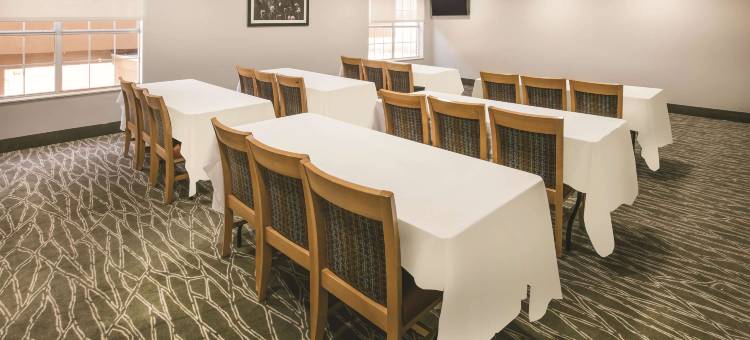 达拉斯梅斯基特拉昆塔温德姆套房酒店(La Quinta Inn & Suites by Wyndham Dallas Mesquite)图片