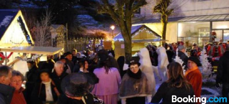 奥克斯派克一室公寓酒店(Aux Studios du Parc)图片