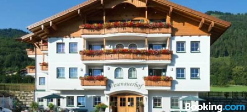 韦森诺儿霍夫公寓(Apart-Pension Wesenauerhof)图片