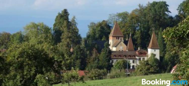宫明兴维勒酒店(Schloss Münchenwiler)图片