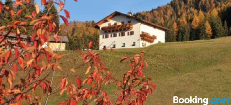 菲兹德霍夫酒店(Fiziderhof)图片