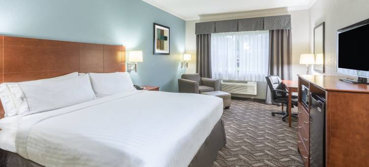 智选假日套房酒店查尔斯湖(Holiday Inn Express & Suites Lake Charles)图片