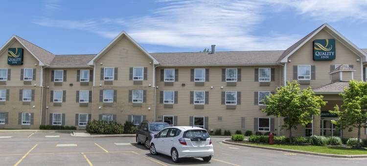 凯艺酒店-机场(Quality Inn Airport)图片