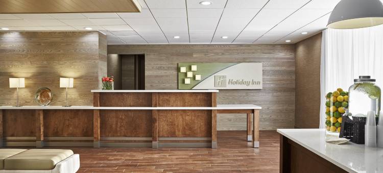 亚历山德里亚凯雷假日酒店(Holiday Inn Alexandria - Carlyle)图片