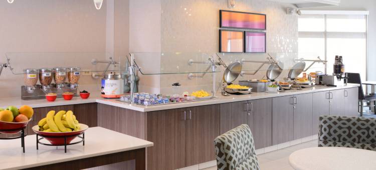 达拉斯医疗市场中心索内斯塔 ES 套房酒店(Sonesta ES Suites Dallas Medical Market Center)图片