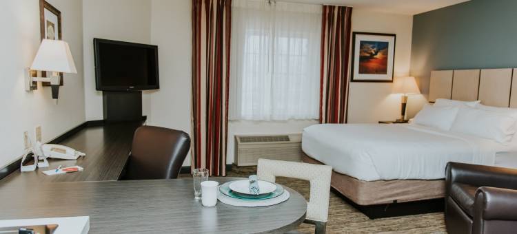 明尼阿波利斯-里奇菲尔德索尼斯塔简单套房酒店(Sonesta Simply Suites Minneapolis Richfield)图片