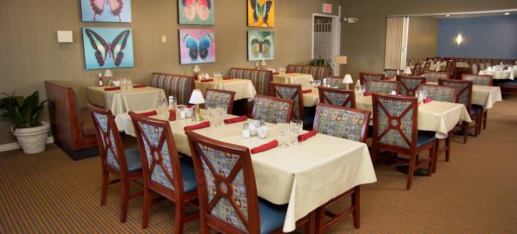 圣路易斯森林公园假日酒店(Forest Park Hotel by MDR)图片