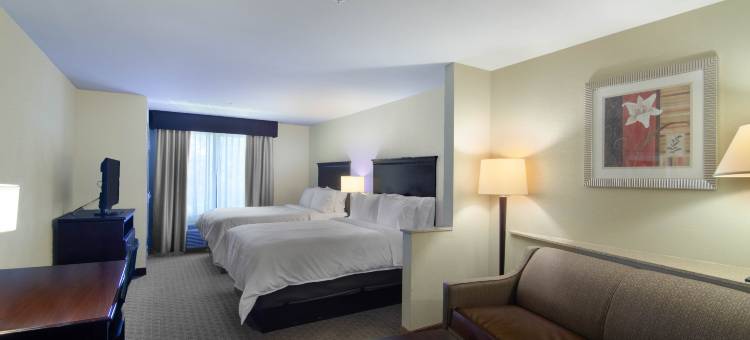 南阿拉巴马大学区舒适套房酒店(Comfort Suites Mobile-South Alabama University Area)图片