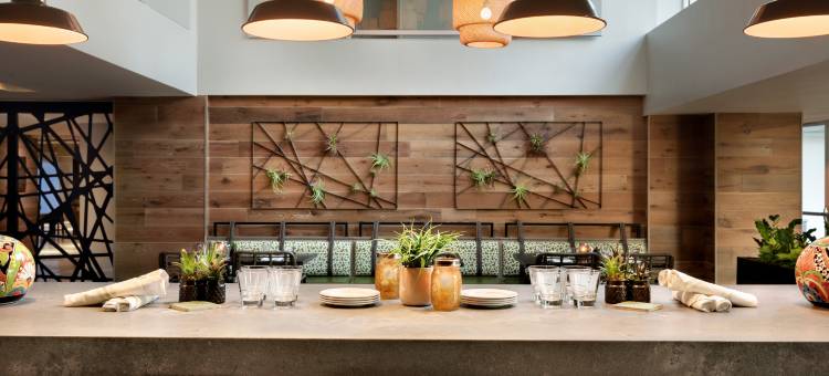 坦帕阿尔巴酒店，希尔顿启缤精选(Hotel Alba Tampa, Tapestry Collection by Hilton)图片