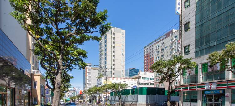 新济州酒店(New Jeju Hotel)图片