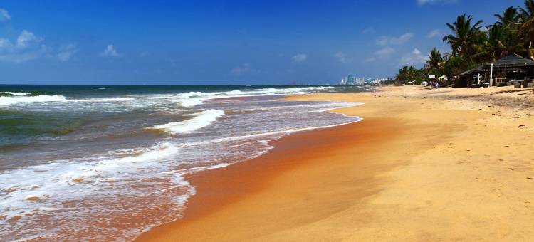 阿育吠陀生命之泉酒店(Ayurveda Spring of Life)图片