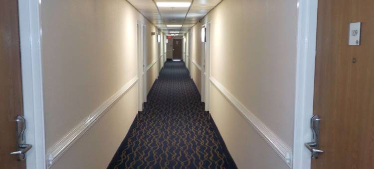 诺福克希尔顿 Spark 酒店(Spark by Hilton Norfolk)图片