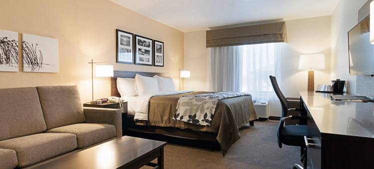 卡尔斯巴德洞穴区舒眠套房酒店(Sleep Inn & Suites Carlsbad Caverns Area)图片