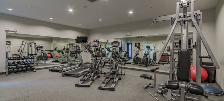 南湾诺特里达姆区Homewood Suites by Hilton(Homewood Suites by Hilton South Bend Notre Dame Area)图片