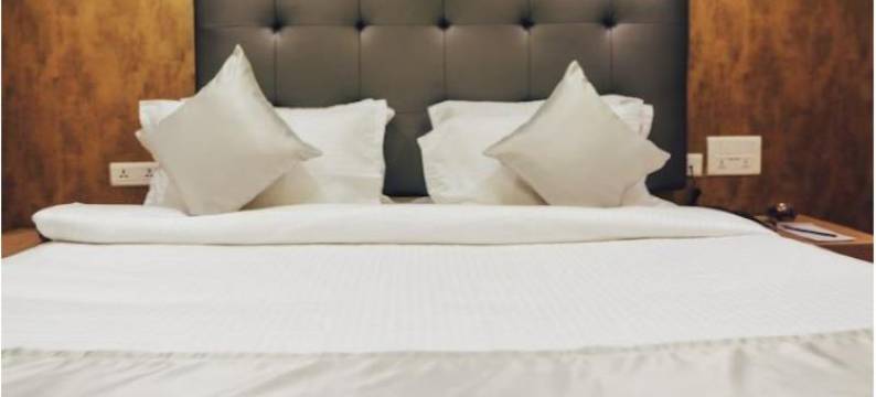 班杨酒店(Kyriad by Citrus Chennai)图片