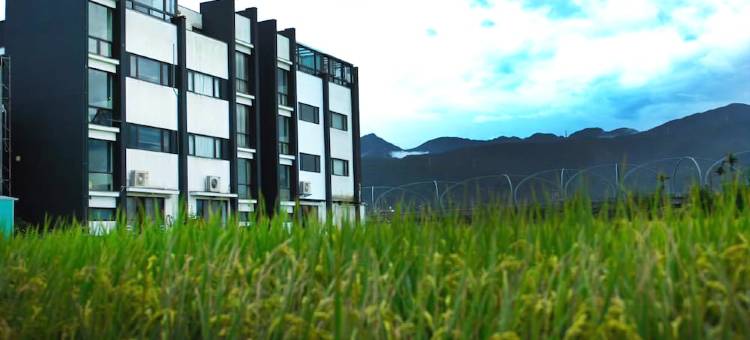 嗨斑马轻旅行图片