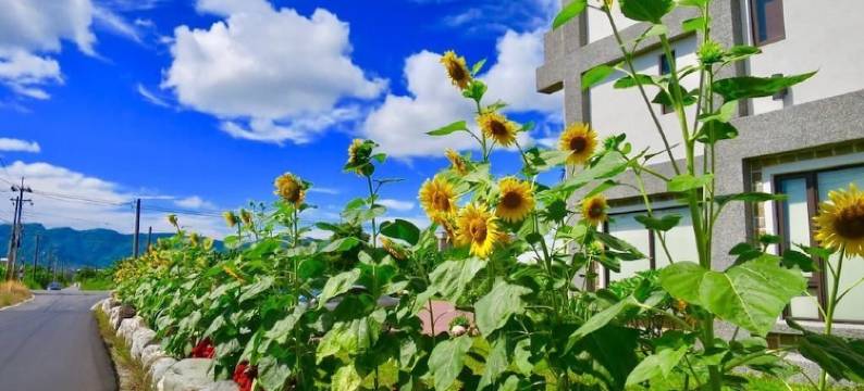 花绿蒂庭园民宿图片