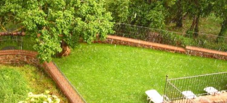 莫雷拉露台酒店(El Patio de la Morera)图片