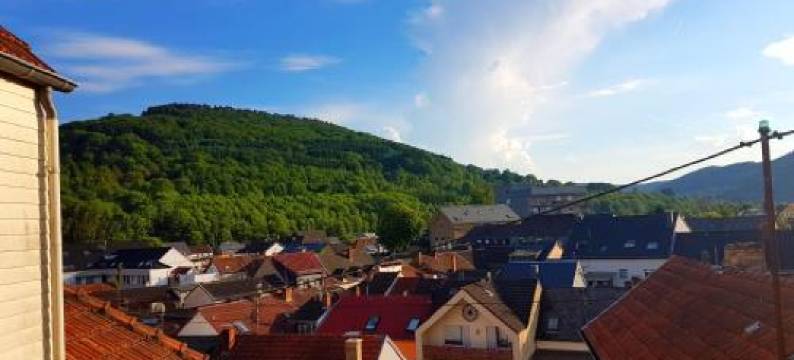 Ein Trip in Die Natur图片