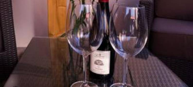 希特茨别墅酒店(Stietz-Villa)图片