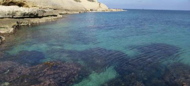 Affittacamere da Arianna图片