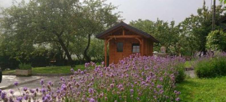 Apartment Lapanja图片