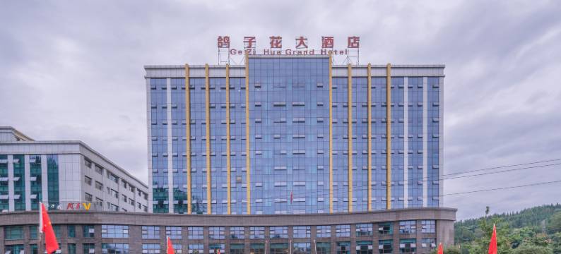 荥经鸽子花大酒店图片