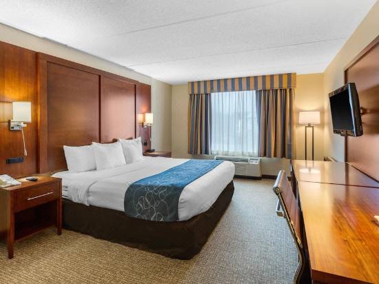 Comfort Suites Manassas Hotel Reviews And Room Rates Trip Com