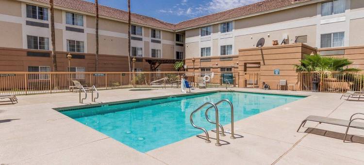 北凤凰城贝斯特韦斯特酒店(Best Western North Phoenix Hotel)图片