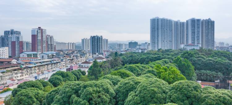 百色恒升大酒店(人民医院右江民族医学院附属医院店)图片
