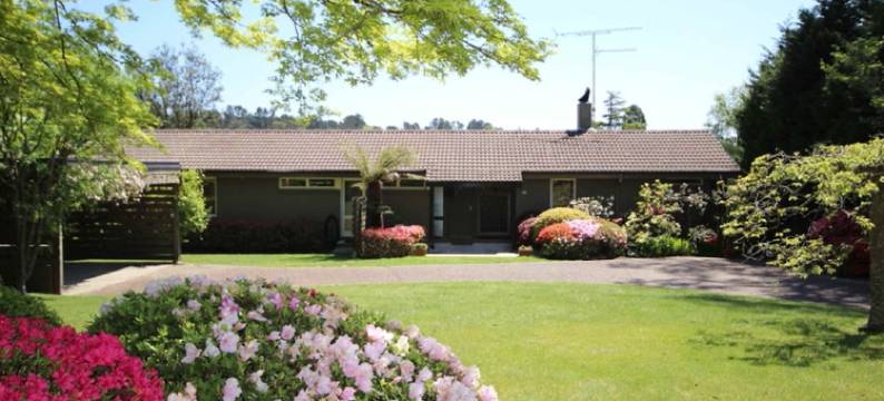 高尔夫之后酒店(After Golf VR)图片