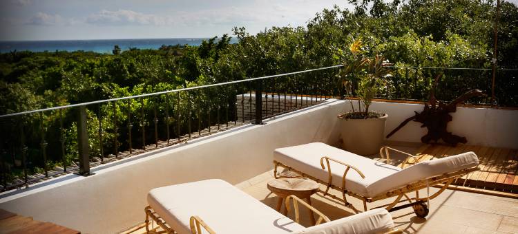 卡曼海滩塞米拉酒店 - 设计酒店会员 - 限成人(Hotel la Semilla a Member of Design Hotels)图片