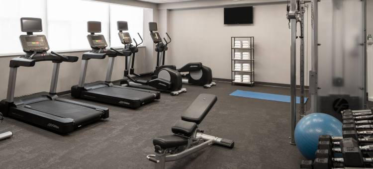 新奥尔良会议中心索尼斯塔ES套房酒店(Sonesta ES Suites New Orleans Convention Center)图片