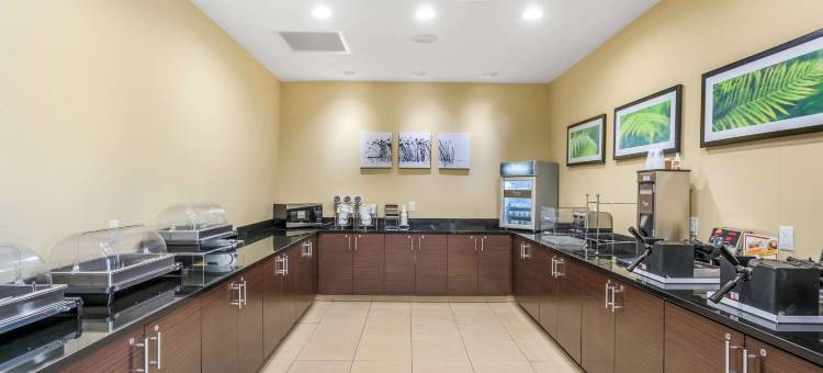 汉尼拔舒眠酒店及套房(Sleep Inn & Suites Hannibal)图片