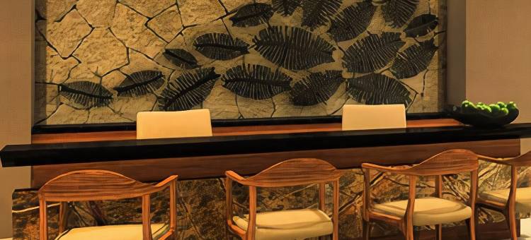 坎昆凯悦乐家酒店(Hyatt Ziva Cancun)图片