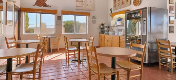 霍尔布鲁克速8酒店(Super 8 by Wyndham Holbrook)图片