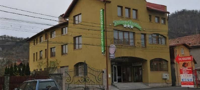 Pensiunea Excelsior图片