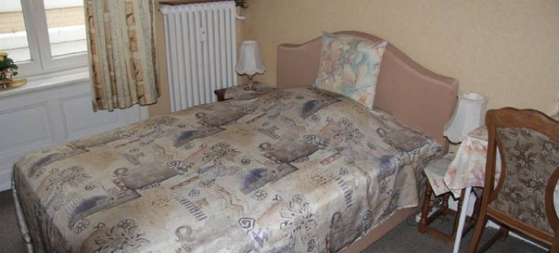 Fink 酒店(Hotel-Pension Fink)图片