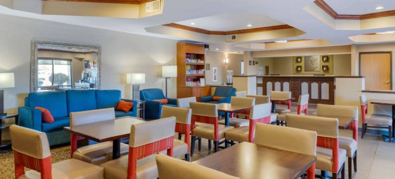 南港舒适套房酒店-I-96附近(Comfort Suites South Haven Near I-96)图片