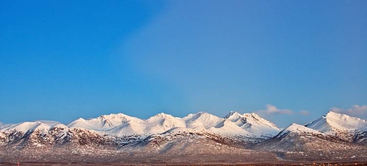 安克雷奇喜来登酒店(Sheraton Anchorage Hotel)图片