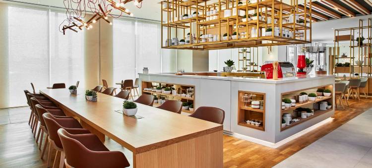 迪拜购物中心大道希尔顿花园酒店(Hilton Garden Inn Dubai, Mall Avenue)图片