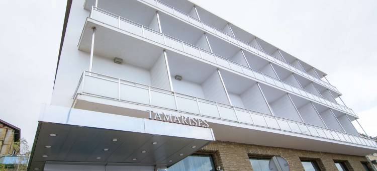 多摩升佩蒂特宫酒店(Petit Palace Tamarises)图片