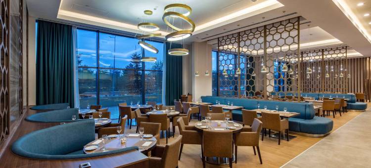 Accom Hotel Sivas图片