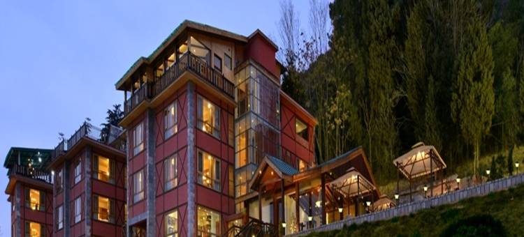 金色郁金香斯里纳格(Golden Tulip Srinagar)图片