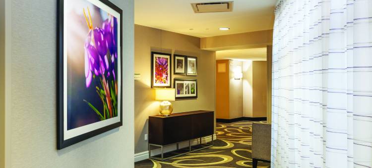 北达拉斯中心拉昆塔温德姆套房酒店(La Quinta Inn & Suites by Wyndham Dallas North Central)图片