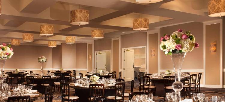 波士顿后湾希尔顿酒店(Hilton Boston Back Bay)图片